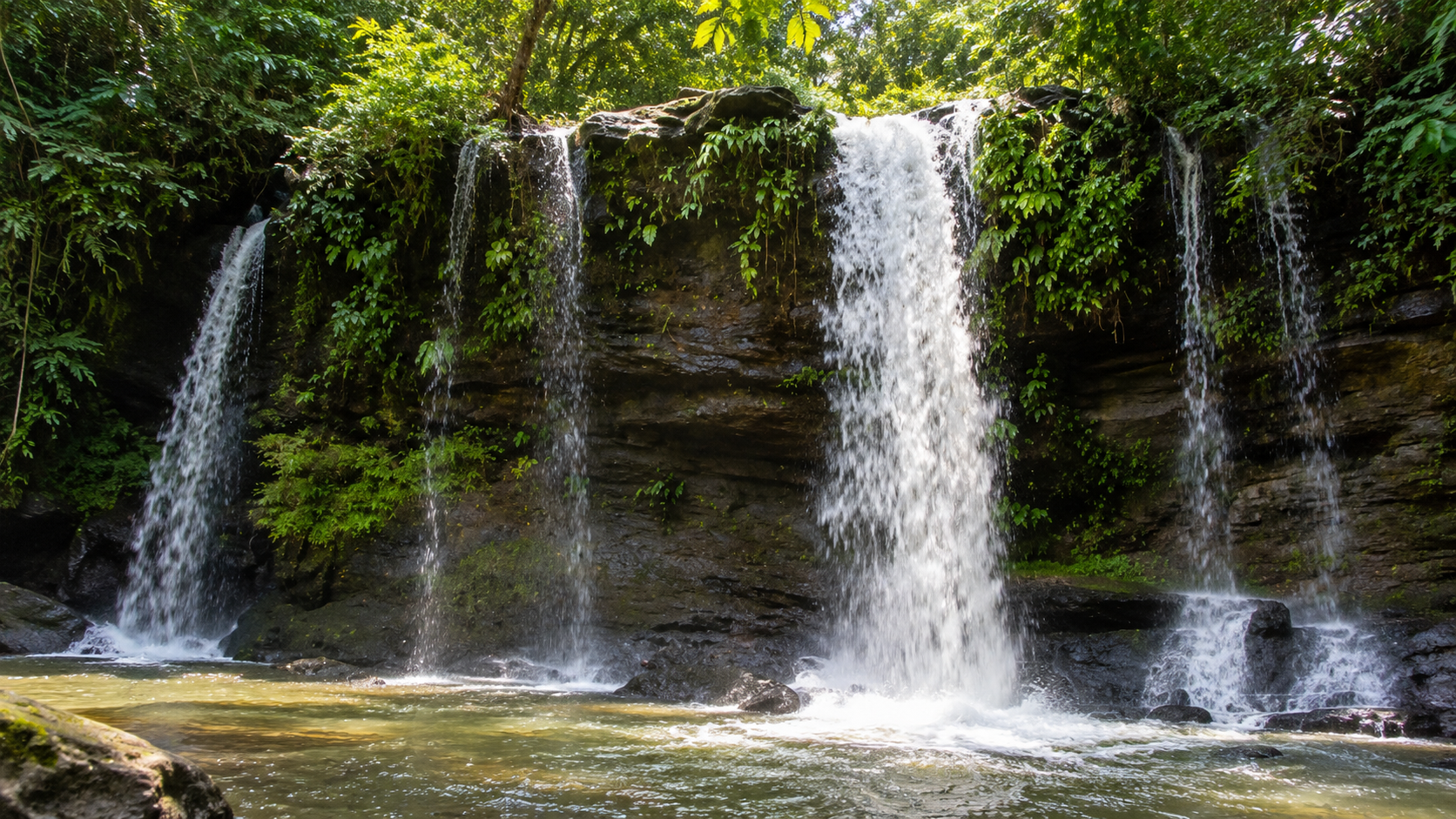 Колумбия: киты залива Трибуга и дикие пляжи Тихого океана