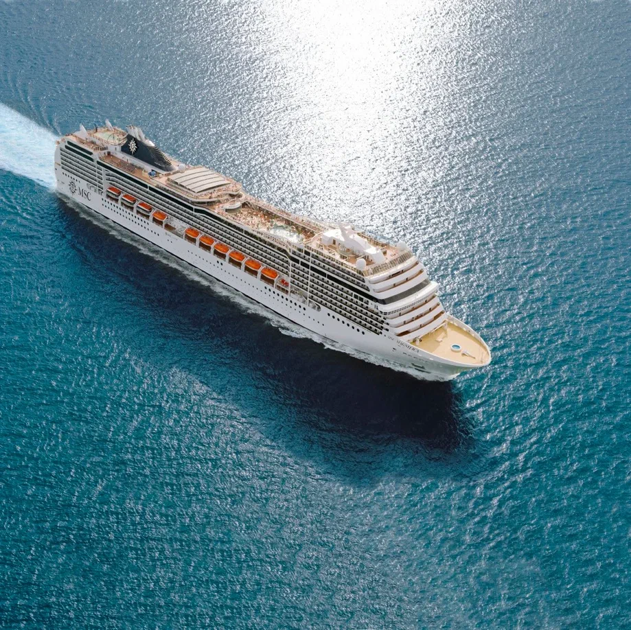 Лайнер SH Minerva