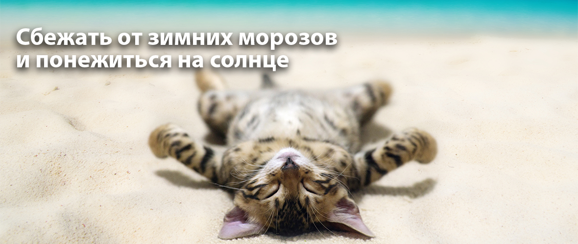 Сбежать от зимних морозов и понежиться на солнце…