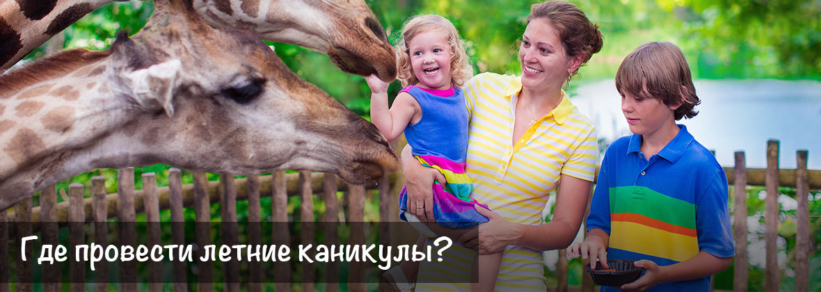 Где провести летние каникулы?